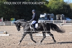 BPP_8923