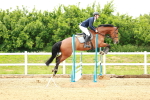 SBM_000372