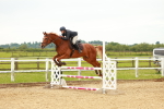 SBM_002006