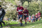 Dovedale Dash-2079