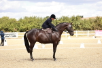 SBM_004939