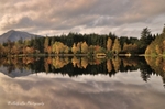 Autumn Reflections