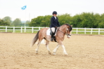SBM_005994