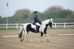SBM_003367