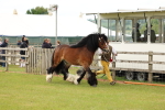 SBM_06278