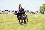 SBM_02011