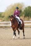 SBM_009782
