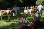 North Show_2014-29