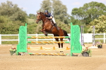 SBM_005010