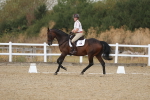 SBM_009070