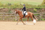 SBM_001087