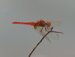 P1045907