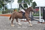 JAC_2629