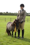 S46 - Mountain & Moorland In Hand Small Breeds portfolio
