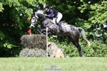 311-BALLYCOSKERRY_REGAL_DIAMOND-Hollie_Swain-XC portfolio