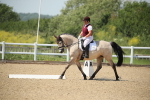 SBM_009499