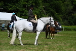 WJ7_1810