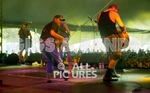 Hayseed Dixie-63
