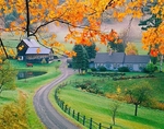 Istock #21169455