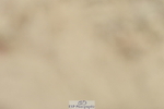 230702A-130530-09429