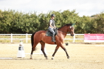 SBM_009147