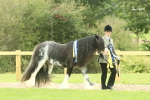 SBM_75131