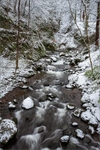 Alva Burn