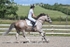 BPP_3498
