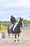 BPP_4952