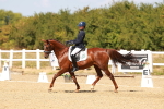 SBM_018309