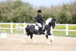SBM_007274