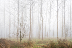 On the edge of Straight and Narrow