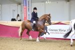 SBM_24914