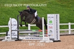 BPP_3281