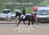BPP_9784
