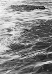 2291 - Sea Flow