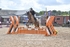 BPP_2181