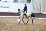SBM_000528