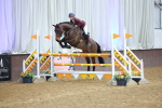 SBM_010749