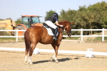 SBM_007527