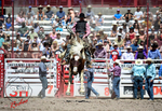 3HRodeo_CFD_JUL_18_2026_03817