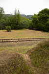 Deer trail