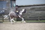 SBM_007917