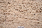 230708A-145654-03186