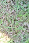 SBM_06007