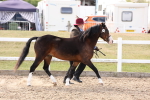 SBM_15034
