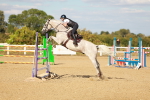 SBM_007875