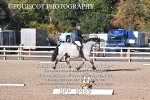 BPP_8489