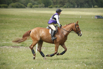 BVHT 140517  NXC -209