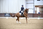 SBM_007578